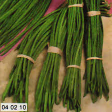 FAGIOLO METRO STRINGA GR.200